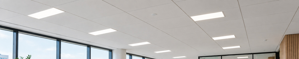 LED Panelen 30x60 cm