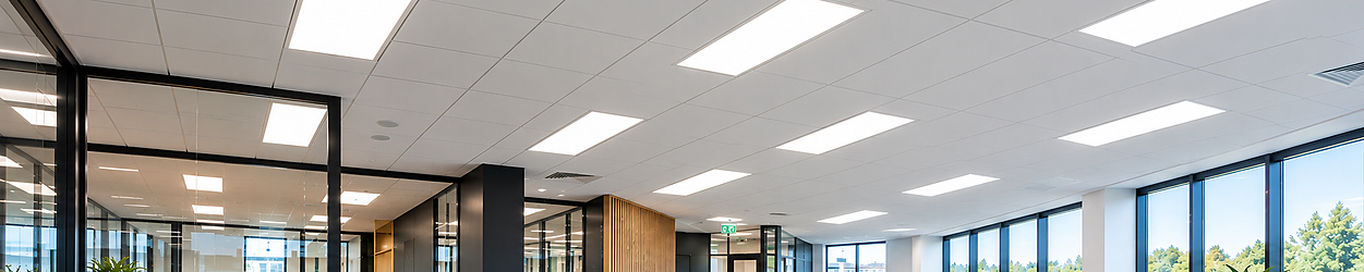 LED Panelen 30x120 cm