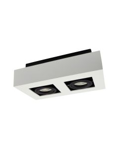 Spot 2x GU10 Surface-Mounted Black/White Square IP20 255X145X85mm Regulated Eye