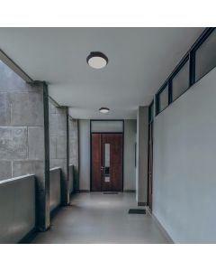 Plafondlamp E27 – rond – zwart – IP65 IK08 – Ø300×90 mm – zonder lichtbron