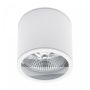 Opbouwspot AR111 GU10 – rond – wit – IP44 – 118×114 mm – zonder lichtbron